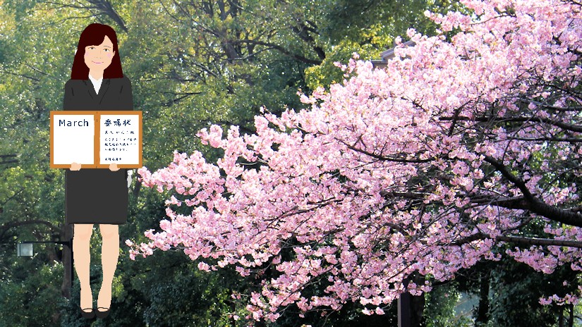 3月 - 早咲きの桜（神奈川県）