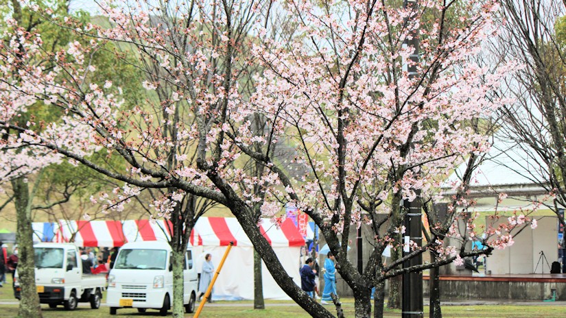 龍ケ岡公園（龍ケ崎市）