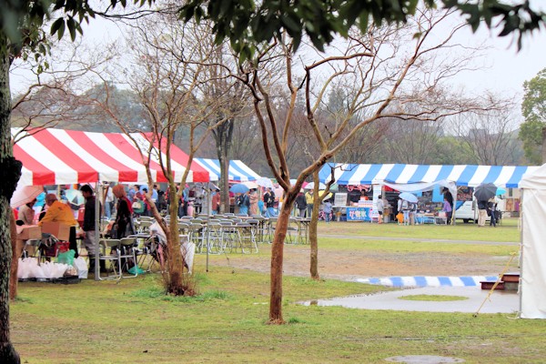 桜まつり2017の様子（龍ケ崎市龍ケ岡公園）