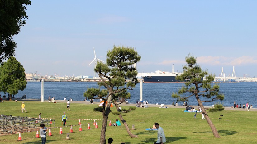 臨港パークの風景（横浜市西区 2017年5月）