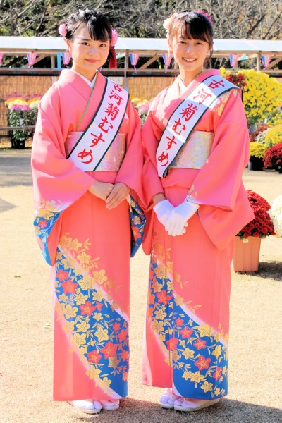 古河華むすめの増田絵菜さんと米澤早紀さん（古河菊まつり）