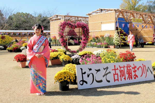 古河菊まつりで来場者を歓待する古河菊むすめさん