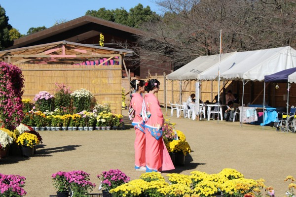 古河菊まつりで来場者を出迎える古河桃むすめさん