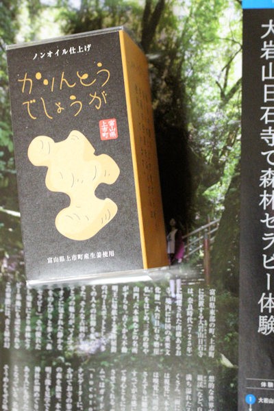 花月堂（富山県上市町）の「かりんとうでしょうが」（富山マーケットで購入）
