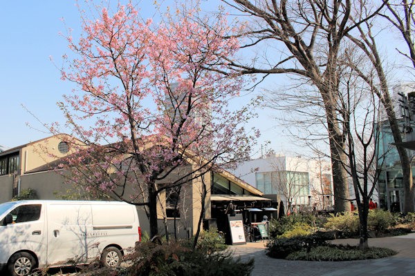 代官山T-SITE GARDEN（東京都渋谷区）