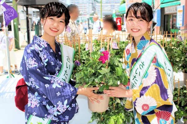 10代目さいたま小町の羽田佳菜さんと松村茉由子さん（人形のまち岩槻朝顔市）