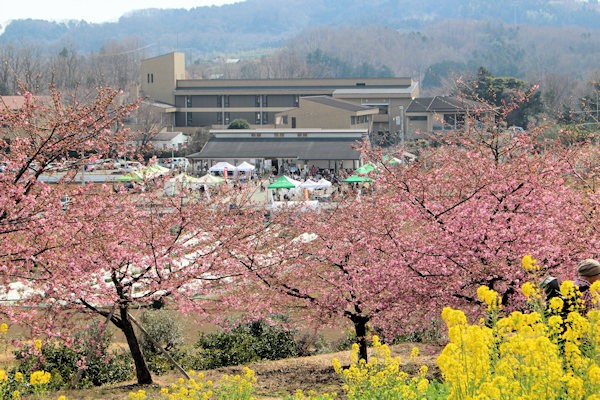 大井町農業体験施設四季の里周辺（神奈川県大井町）