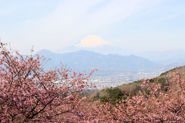 大井町農業体験施設四季の里・ゆめの里から望む富士山（神奈川県大井町）
