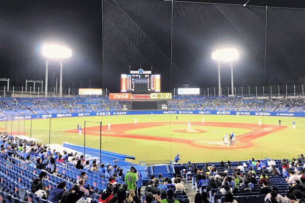 収容人数の50%以下の入場者数の制限下で行われるプロ野球（横浜DeNA戦 神宮球場）